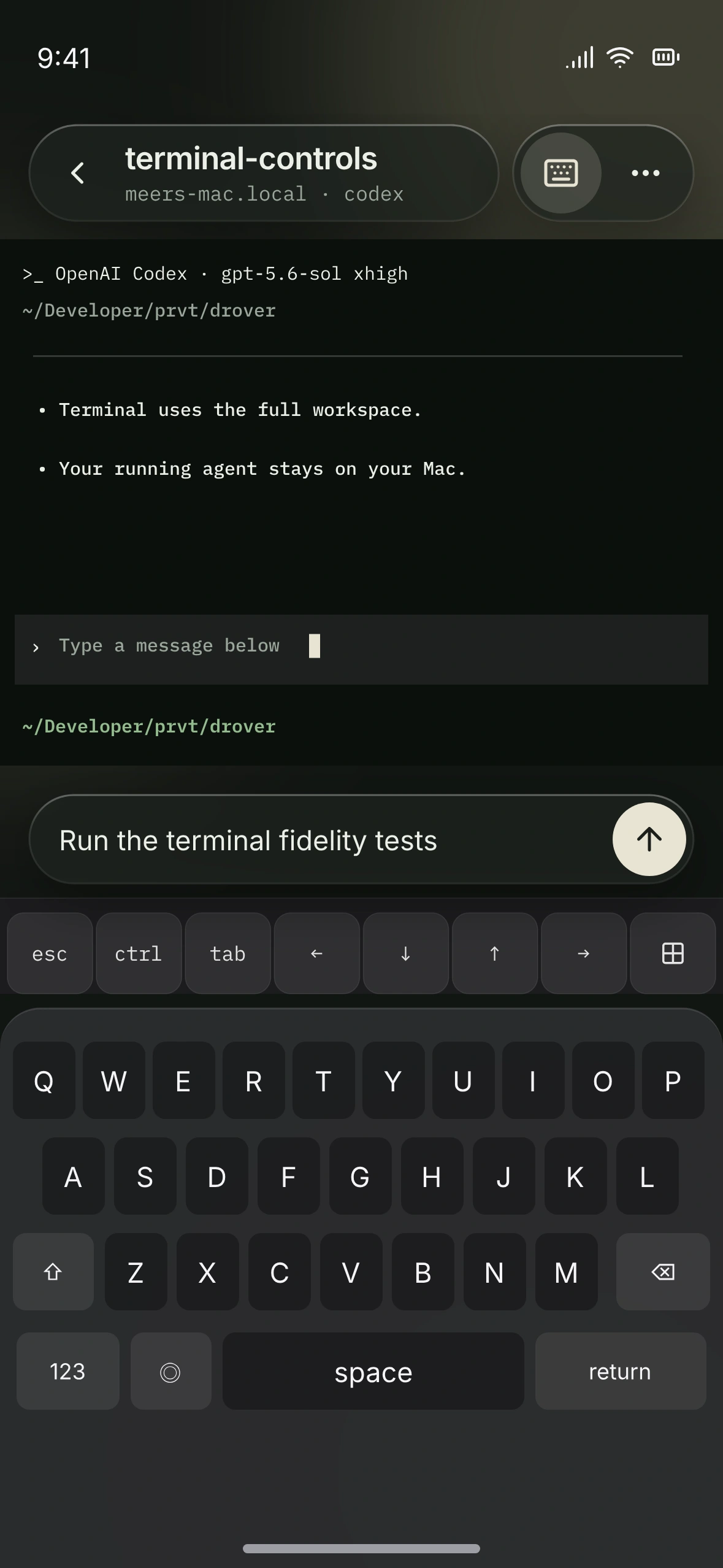 Terminal interface design preview with a local draft and iPhone keyboard